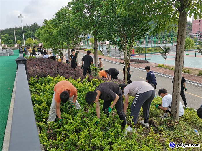 劳动砺心智  除草美校园