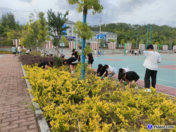 劳动砺心智  除草美校园