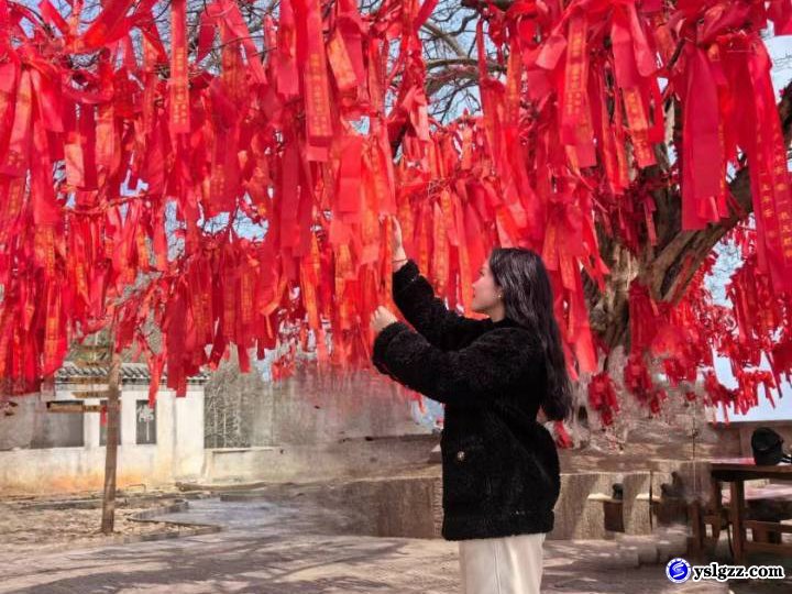 我校开展三八妇女节活动